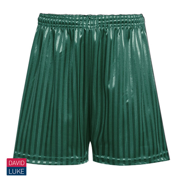 David Luke Shadow stripe shorts GREEN  Thumbnail